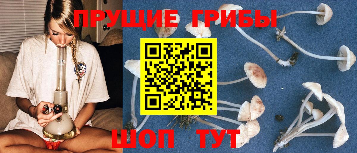 Галлюциногенные грибы мухоморы Орск