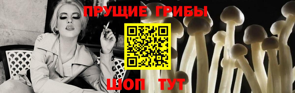 Орск  Галлюциногенные грибы ЛСД  Вход с VPN 